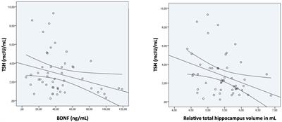Relationship between thyroid-stimulating hormone, BDNF levels, and hippocampal volume in antipsychotic-naïve first-episode psychosis patients